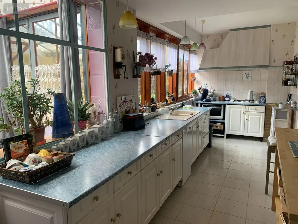 Maison a vendre Châtillon-sur-Indre 36700 Indre 36 175 m2 5 pièces 199900 euros 1049093 013