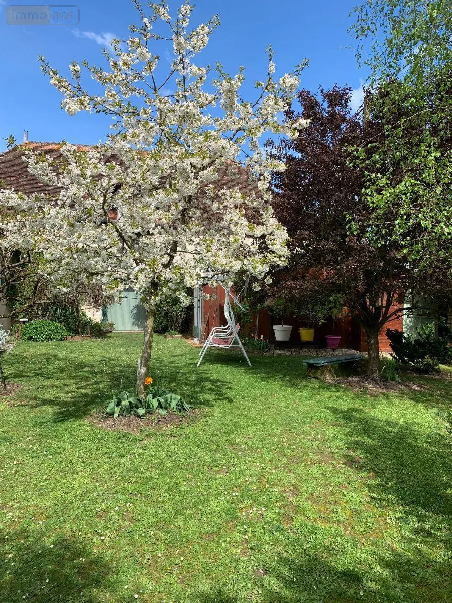 Maison a vendre Châtillon-sur-Indre 36700 Indre 36 175 m2 5 pièces 199900 euros 1049093 021