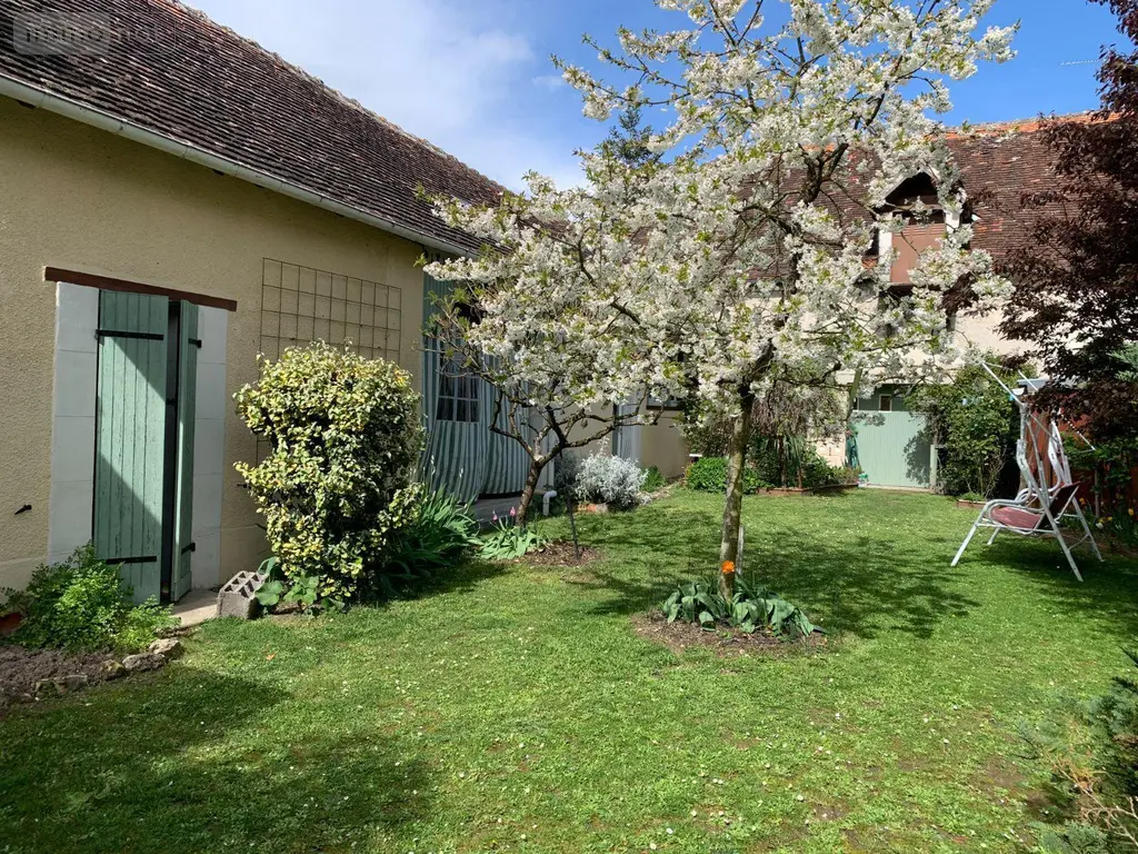 Maison a vendre Châtillon-sur-Indre 36700 Indre 36 175 m2 5 pièces 199900 euros 1049093 024