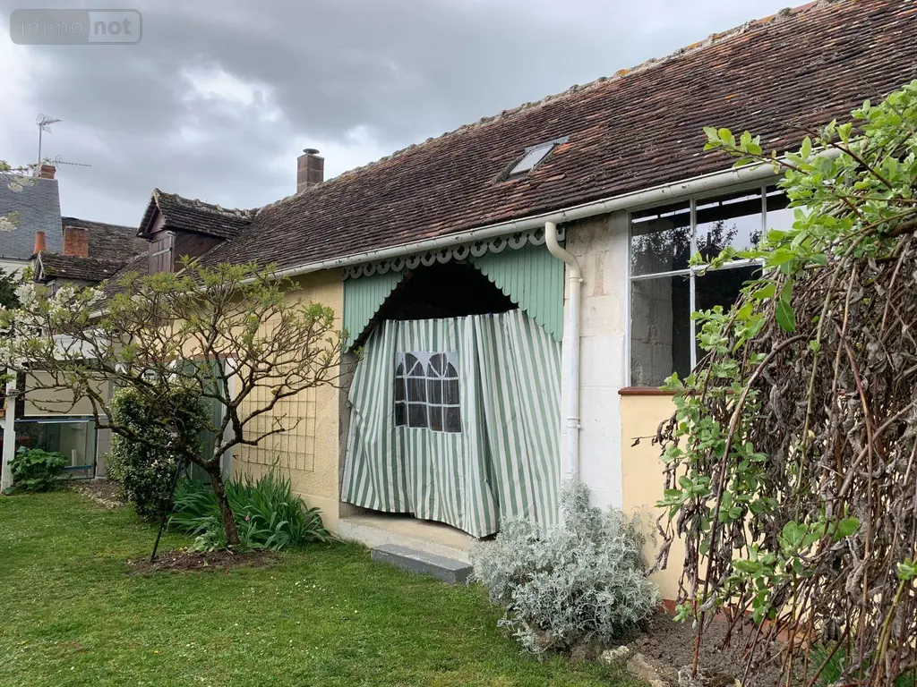 Maison a vendre Châtillon-sur-Indre 36700 Indre 36 175 m2 5 pièces 199900 euros 1049093 026