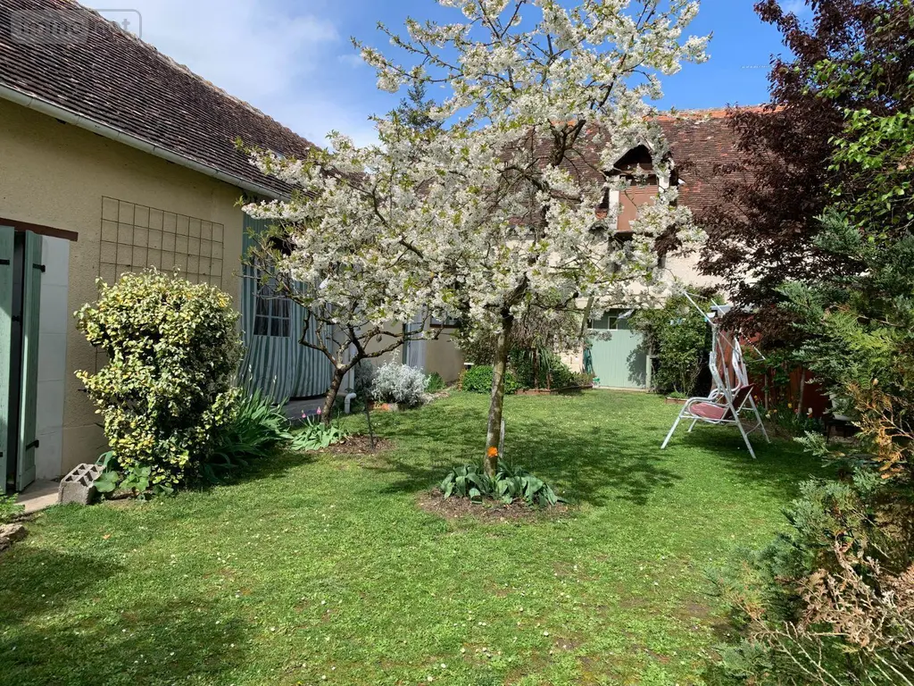 Maison a vendre Châtillon-sur-Indre 36700 Indre 36 175 m2 5 pièces 199900 euros 1049093 028