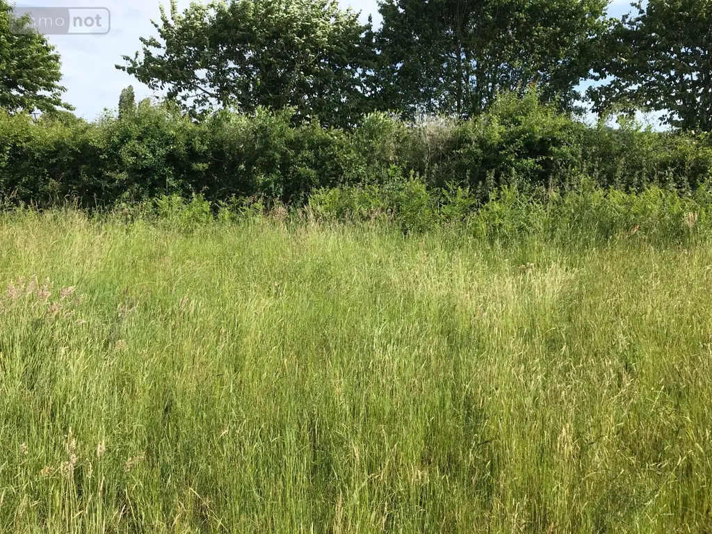 Terrain a batir a vendre Briosne-lès-Sables 72110 Sarthe 72 33339 euros 079/1971 003