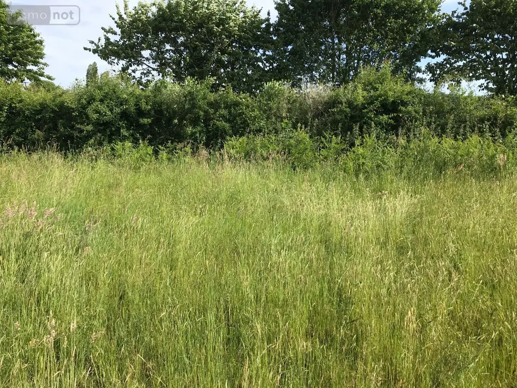 Terrain a batir a vendre Briosne-lès-Sables 72110 Sarthe 72 43200 euros 079/1972 004