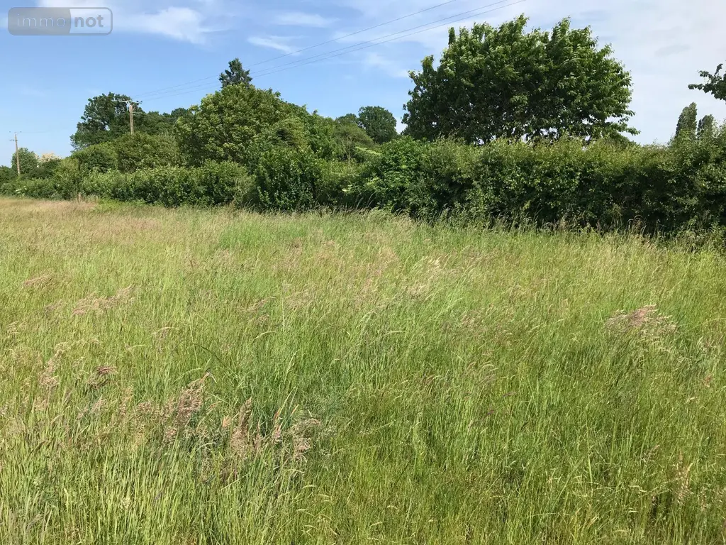 Terrain a batir a vendre Briosne-lès-Sables 72110 Sarthe 72 43200 euros 079/1972 005