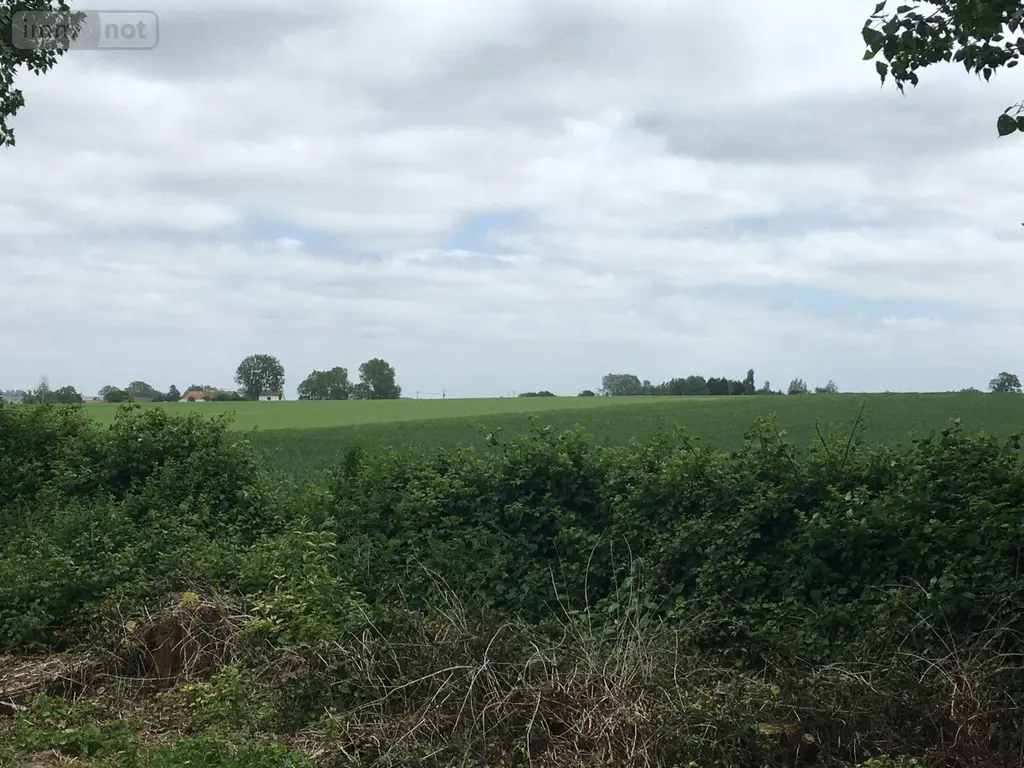 Maison a vendre Looberghe 59630 Nord 59 185 m2 10 pièces 409000 euros M1581 024