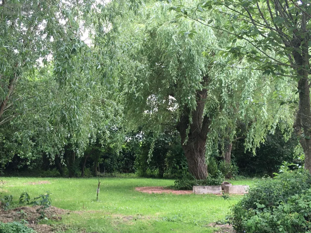Maison a vendre Looberghe 59630 Nord 59 185 m2 10 pièces 409000 euros M1581 011