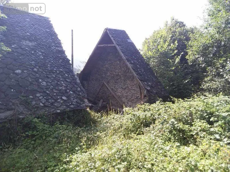 Terrains de loisirs bois etangs a vendre Condat 15190 Cantal 15 53000 euros FG/2351 002
