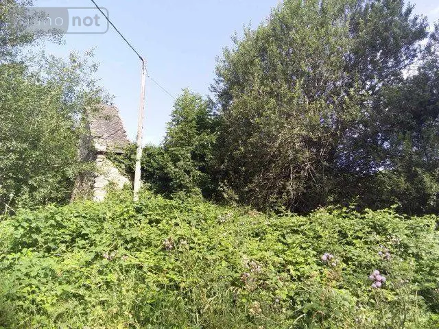 Terrains de loisirs bois etangs a vendre Condat 15190 Cantal 15 53000 euros FG/2351 003