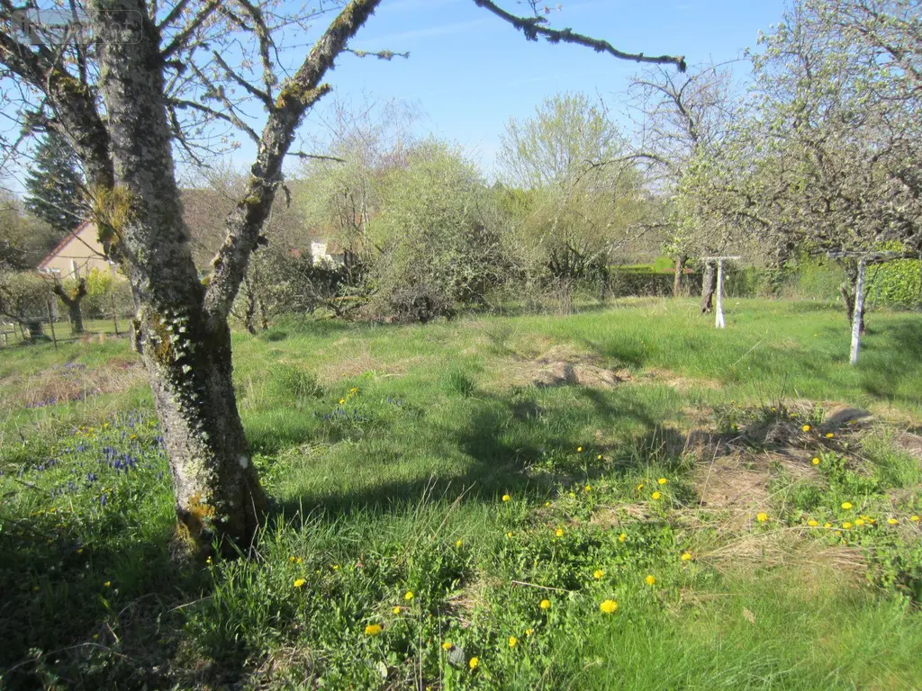 Maison a vendre Montcenis 71710 Saône-et-Loire 71 154 m2 8 pièces 136000 euros MH1224MO 006