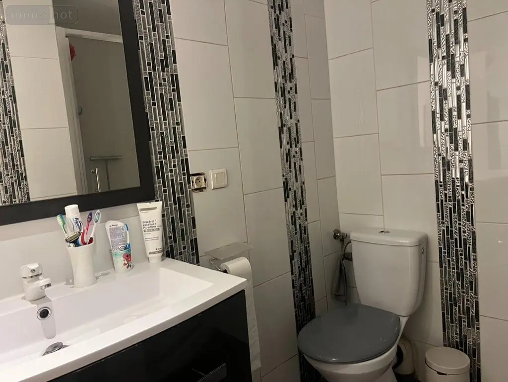 Immeuble de rapport a vendre Perpignan 66000 Pyrénées-Orientales 66 160 m2 95000 euros 66018/2025/5/3-VI 014