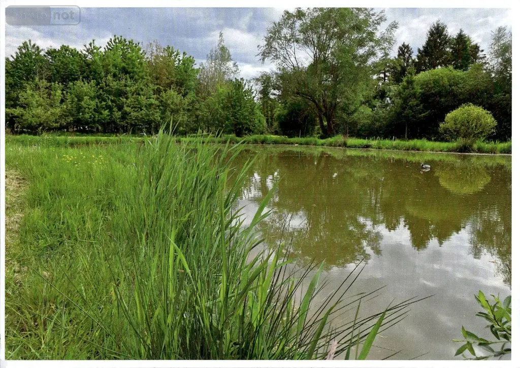Terrains de loisirs bois etangs a vendre Raye-sur-Authie 62140 Pas-de-Calais 62 65000 euros 62140-850 002