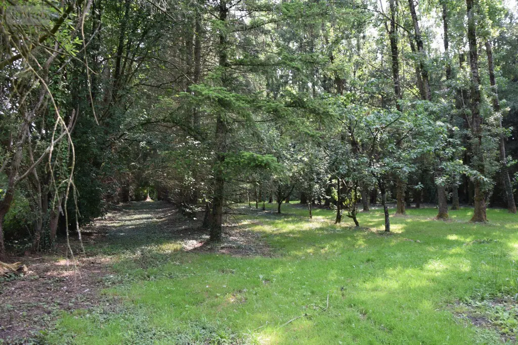 Terrains de loisirs bois etangs a vendre Martigné-sur-Mayenne 53470 Mayenne 53 15 m2 95000 euros 53075/FC119 003