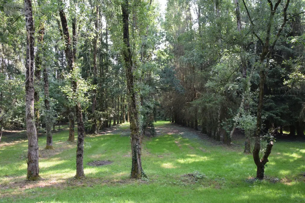 Terrains de loisirs bois etangs a vendre Martigné-sur-Mayenne 53470 Mayenne 53 15 m2 95000 euros 53075/FC119 004