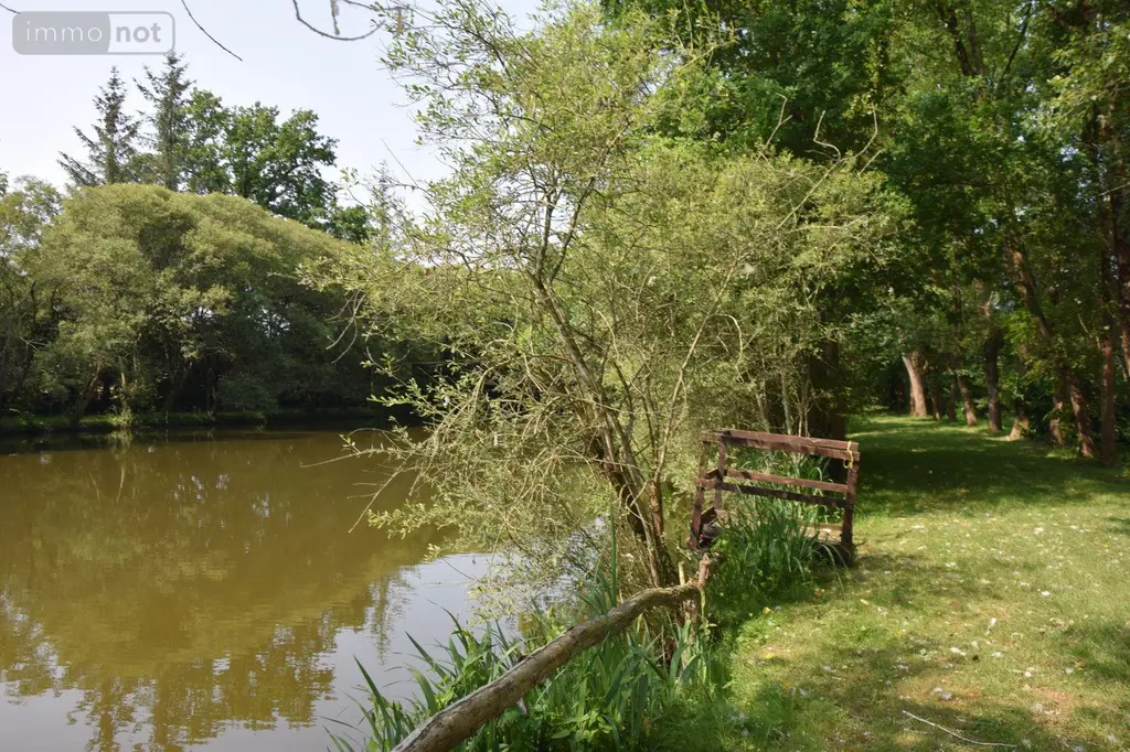 Terrains de loisirs bois etangs a vendre Martigné-sur-Mayenne 53470 Mayenne 53 15 m2 95000 euros 53075/FC119 005