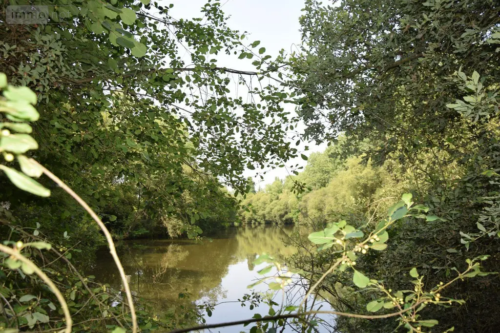 Terrains de loisirs bois etangs a vendre Martigné-sur-Mayenne 53470 Mayenne 53 15 m2 95000 euros 53075/FC119 006