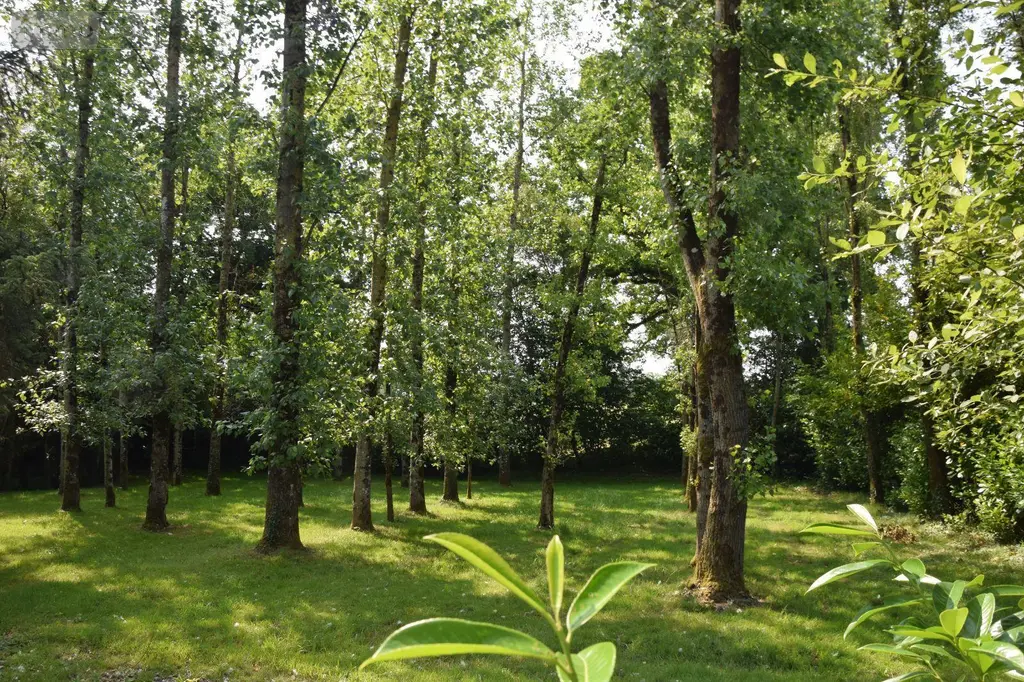 Terrains de loisirs bois etangs a vendre Martigné-sur-Mayenne 53470 Mayenne 53 15 m2 95000 euros 53075/FC119 007