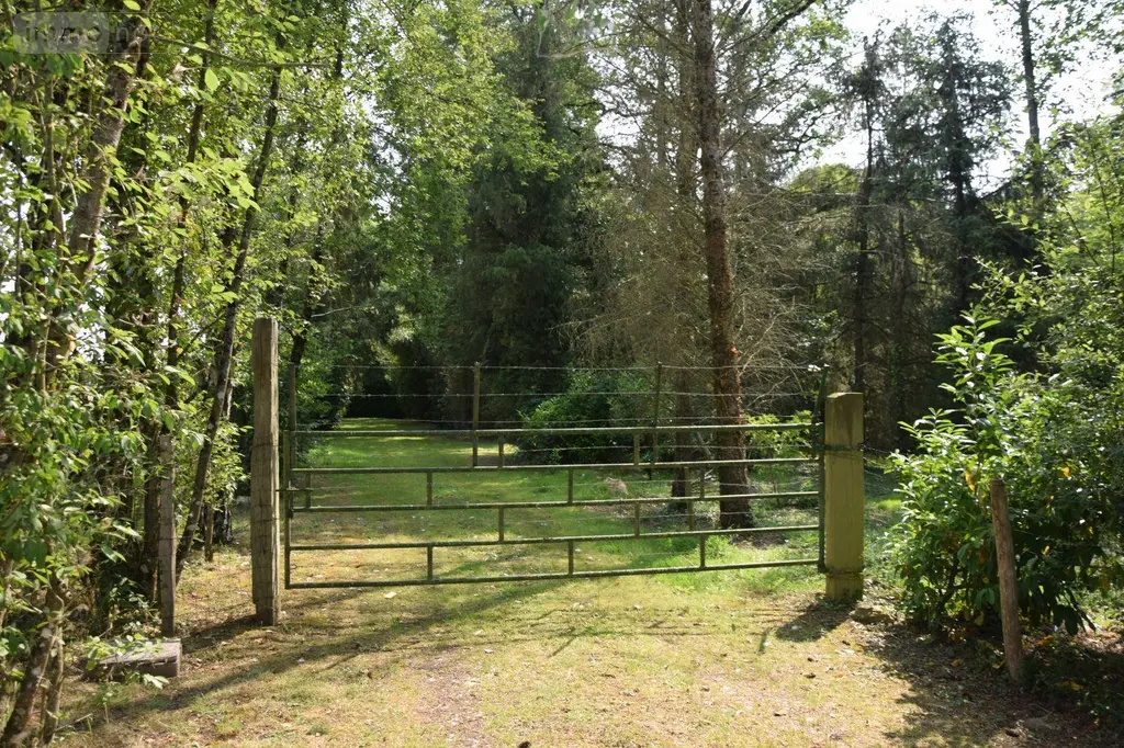 Terrains de loisirs bois etangs a vendre Martigné-sur-Mayenne 53470 Mayenne 53 15 m2 95000 euros 53075/FC119 012