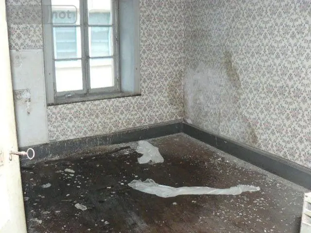Immeuble de rapport a vendre La Vôge-les-Bains 88240 Vosges 88 480 m2 12 pièces 18000 euros 2233 005
