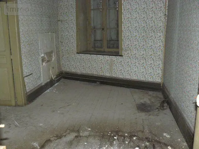 Immeuble de rapport a vendre La Vôge-les-Bains 88240 Vosges 88 480 m2 12 pièces 18000 euros 2233 010