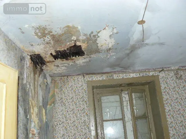 Immeuble de rapport a vendre La Vôge-les-Bains 88240 Vosges 88 480 m2 12 pièces 18000 euros 2233 011