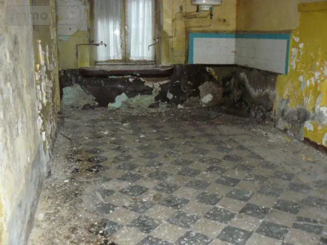 Immeuble de rapport a vendre La Vôge-les-Bains 88240 Vosges 88 480 m2 12 pièces 18000 euros 2233 013