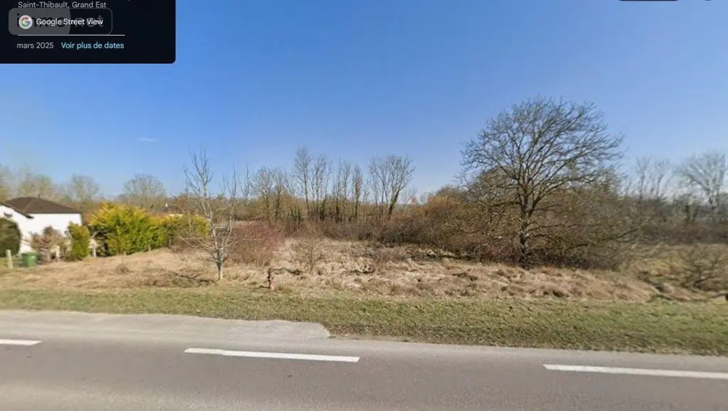Terrains de loisirs bois etangs a vendre Saint-Thibault 10800 Aube 10 11000 euros 1036102/5800 002
