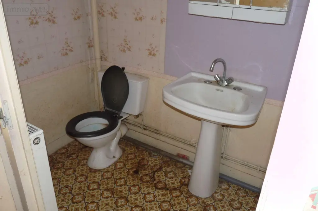 Maison a vendre Lesbois 53120 Mayenne 53 102 m2 5 pièces 40500 euros 53075DLS25027 011