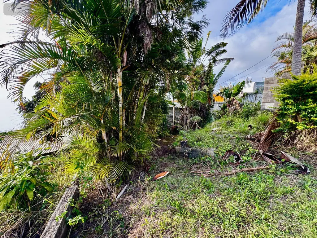 Maison a vendre La Chaloupe-Saint-Christophe-Camélias 97416 La Réunion 974 78 m2 5 pièces 99000 euros 97424/151 030