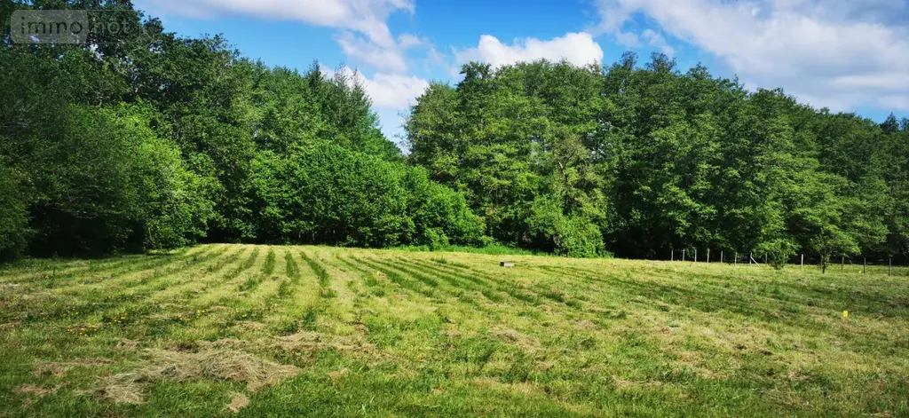 Terrain a batir a vendre Bazas 33430 Gironde 33 50400 euros 32632-2 001