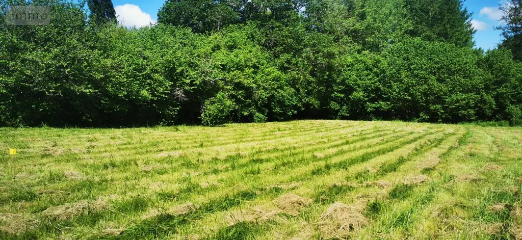 Terrain a batir a vendre Bazas 33430 Gironde 33 50400 euros 32632-2 002