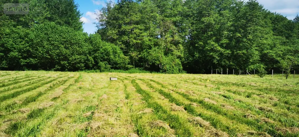 Terrain a batir a vendre Bazas 33430 Gironde 33 50400 euros 32632-2 003