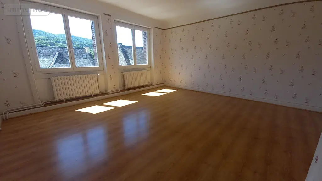 Maison a vendre Vic-sur-Cère 15800 Cantal 15 286 m2 268800 euros MG/2365 017