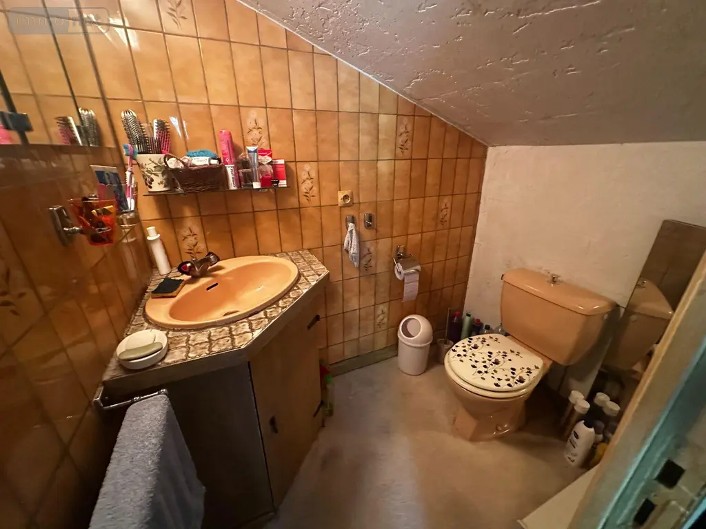 Viager maison Villevallier 89330 Yonne 89 113 m2 4 pièces 45000 euros 89062-13 014