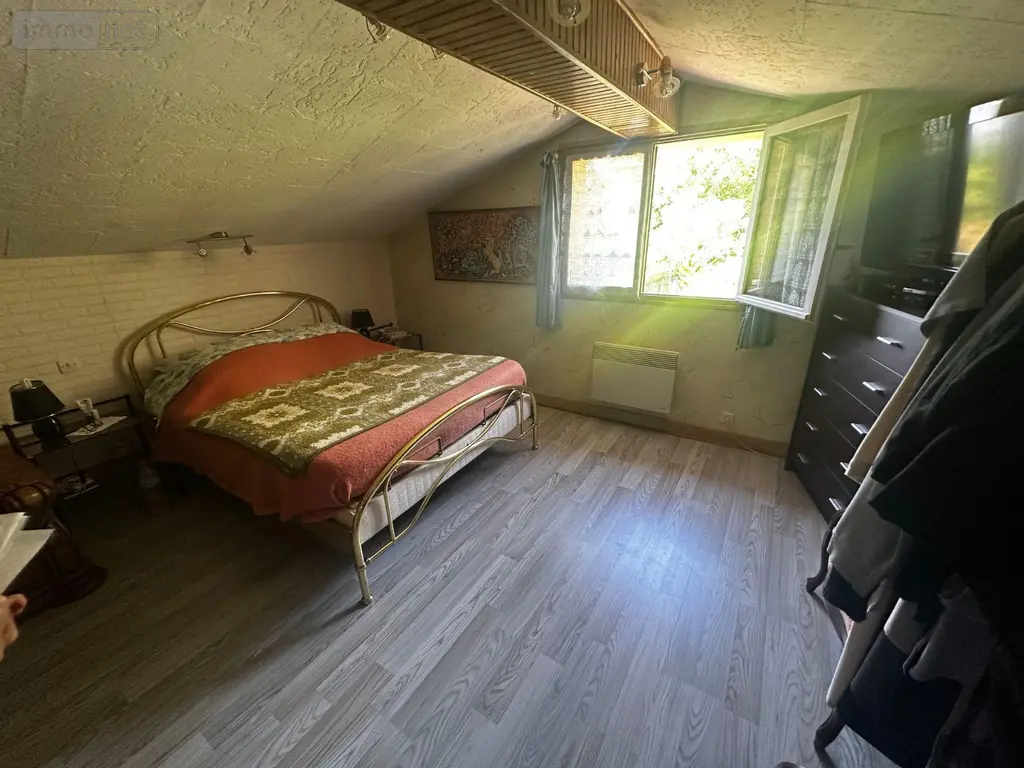 Viager maison Villevallier 89330 Yonne 89 113 m2 4 pièces 45000 euros 89062-13 013