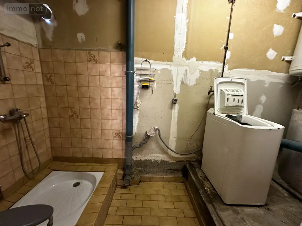 Viager maison Villevallier 89330 Yonne 89 113 m2 4 pièces 45000 euros 89062-13 025
