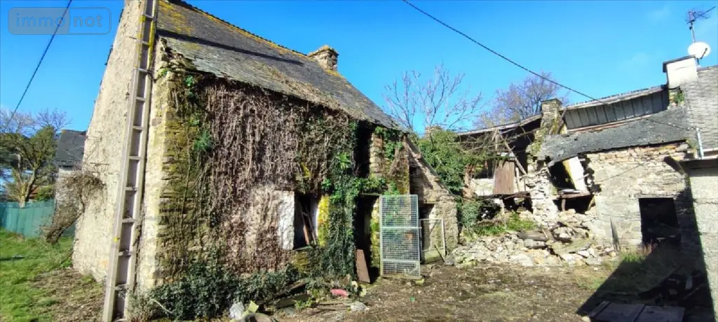 Maison a vendre Bains-sur-Oust 35600 Ille-et-Vilaine 35 50 m2 2 pièces 42400 euros 143/195M 001