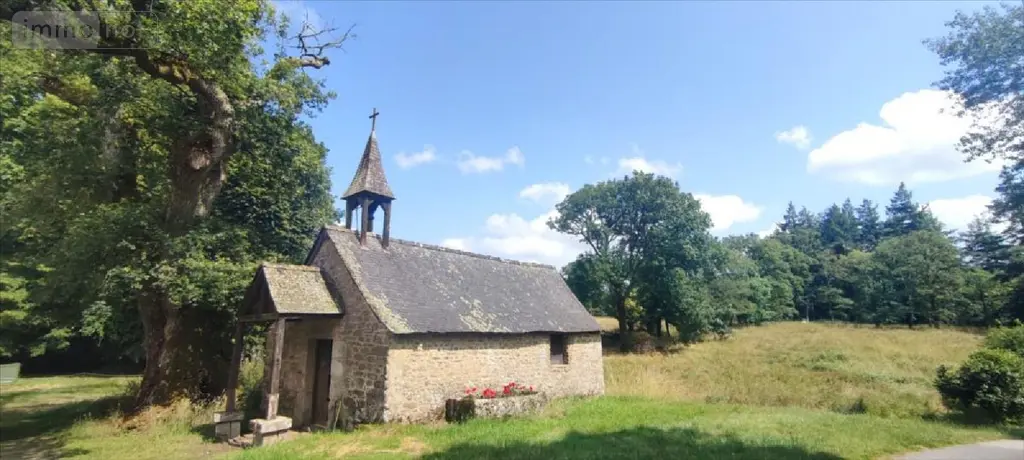Maison a vendre Saint-Jean-la-Poterie 56350 Morbihan 56 440 m2 14 pièces 682160 euros 143/217M 003