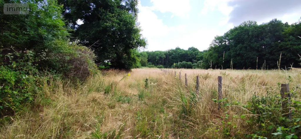 Bien agricole a vendre Anjouin 36210 Indre 36 6800 euros 142545G 002