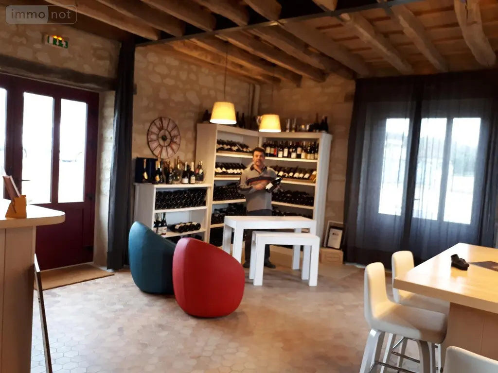 Fonds et murs commerciaux a vendre Saint-Benoît-la-Forêt 37500 Indre-et-Loire 37 361 m2 10 pièces 559000 euros 37049-59 003