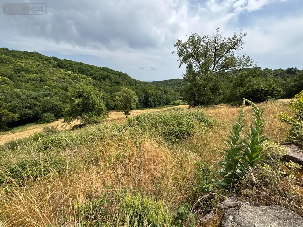 Propriete a vendre Le Bourg 46120 Lot 46 460 m2 188400 euros 46030/PROP/540 009