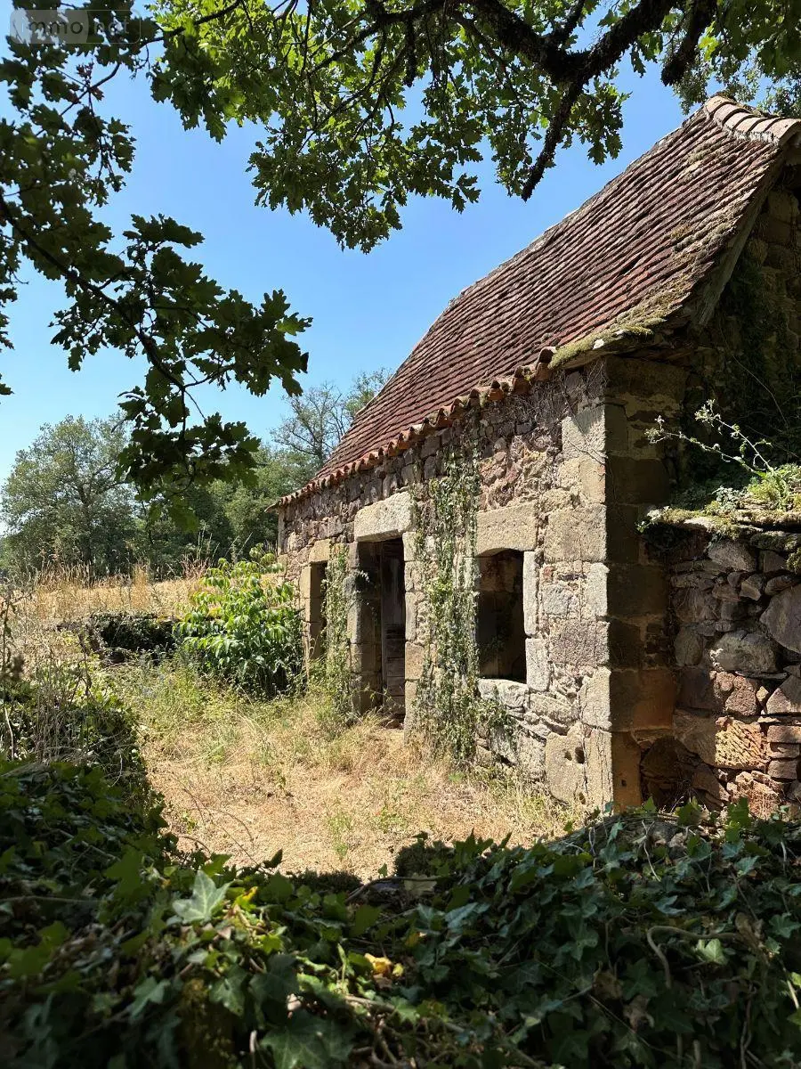 Propriete a vendre Le Bourg 46120 Lot 46 460 m2 188400 euros 46030/PROP/540 004