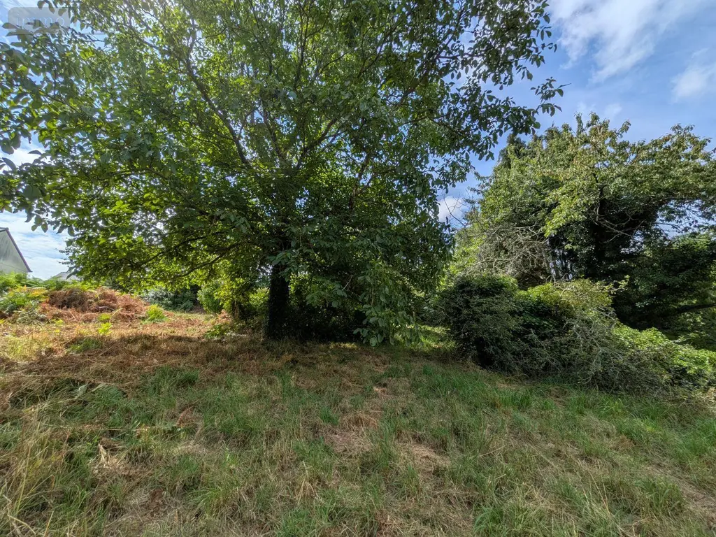 Maison a vendre Le Trévoux 29380 Finistère 29 65 m2 146300 euros 29114-59 013