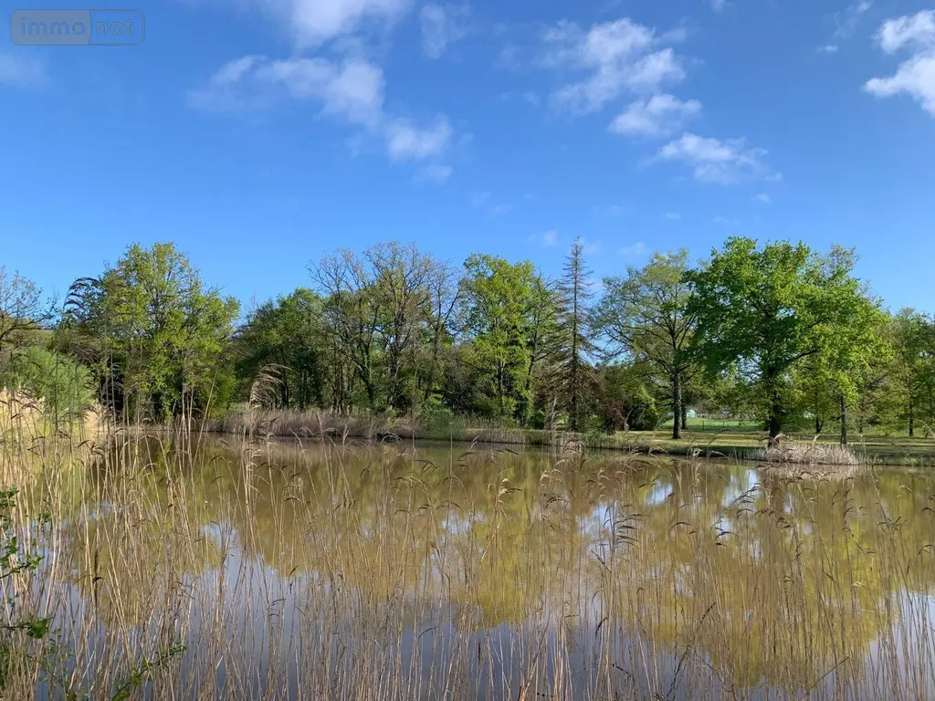 Terrains de loisirs bois etangs a vendre Mézières-en-Brenne 36290 Indre 36 27700 euros 1049343 002