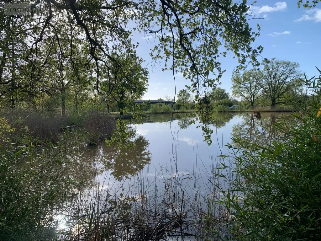 Terrains de loisirs bois etangs a vendre Mézières-en-Brenne 36290 Indre 36 27700 euros 1049343 005