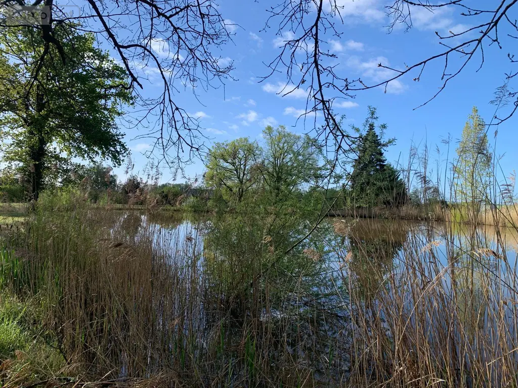 Terrains de loisirs bois etangs a vendre Mézières-en-Brenne 36290 Indre 36 27700 euros 1049343 006