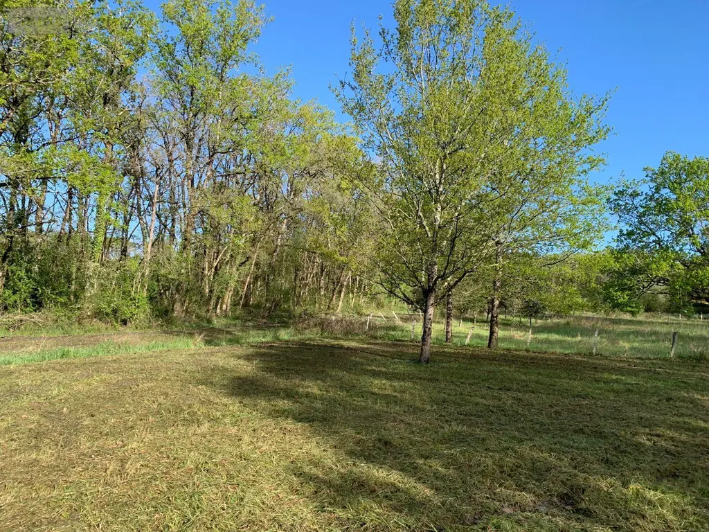 Terrains de loisirs bois etangs a vendre Mézières-en-Brenne 36290 Indre 36 27700 euros 1049343 007