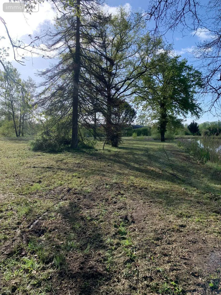 Terrains de loisirs bois etangs a vendre Mézières-en-Brenne 36290 Indre 36 27700 euros 1049343 008