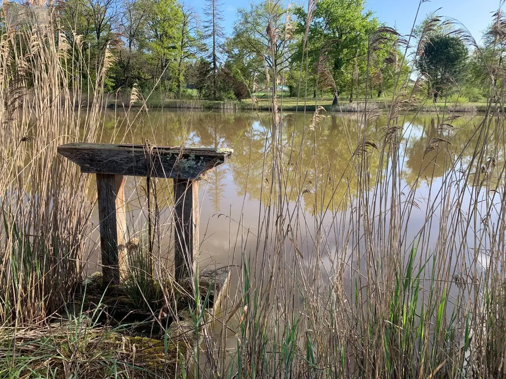 Terrains de loisirs bois etangs a vendre Mézières-en-Brenne 36290 Indre 36 27700 euros 1049343 010