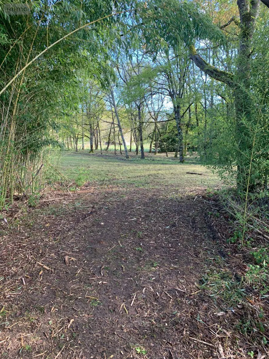 Terrains de loisirs bois etangs a vendre Mézières-en-Brenne 36290 Indre 36 27700 euros 1049343 011