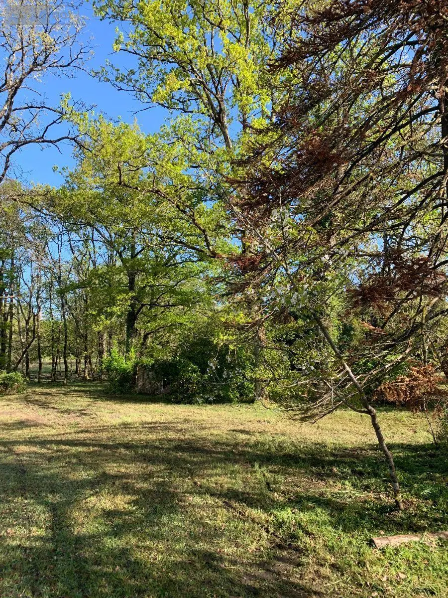 Terrains de loisirs bois etangs a vendre Mézières-en-Brenne 36290 Indre 36 27700 euros 1049343 012